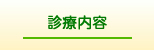 診療内容